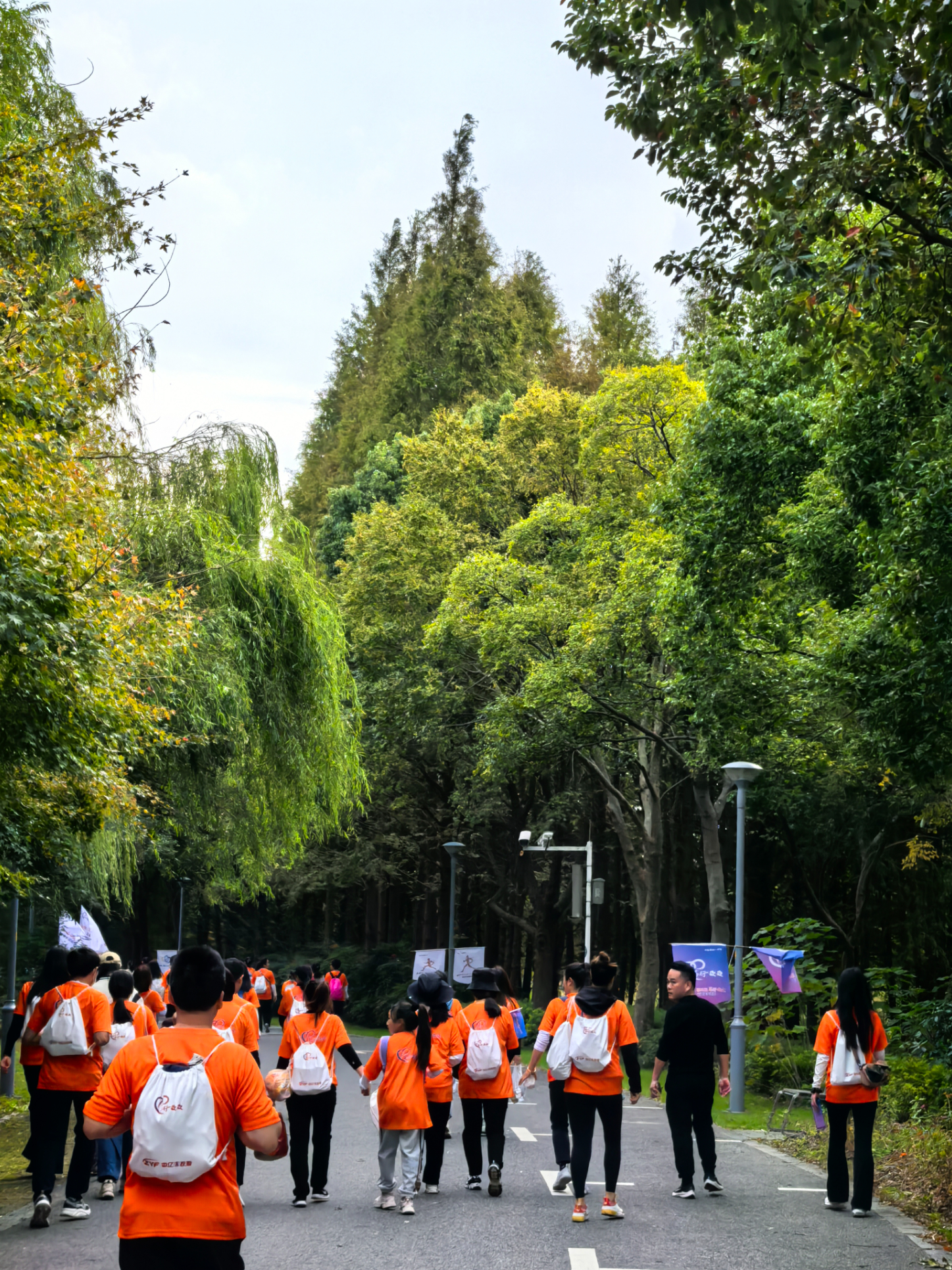 Weixin Image_20241111105433.jpg